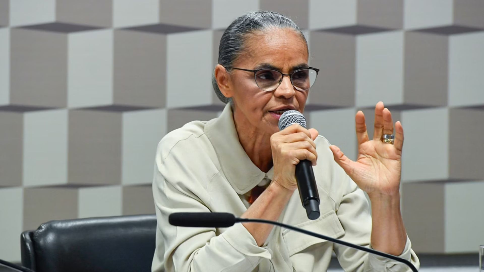  Marina Silva critica penas leves para crimes ambientais e alerta sobre impunidade