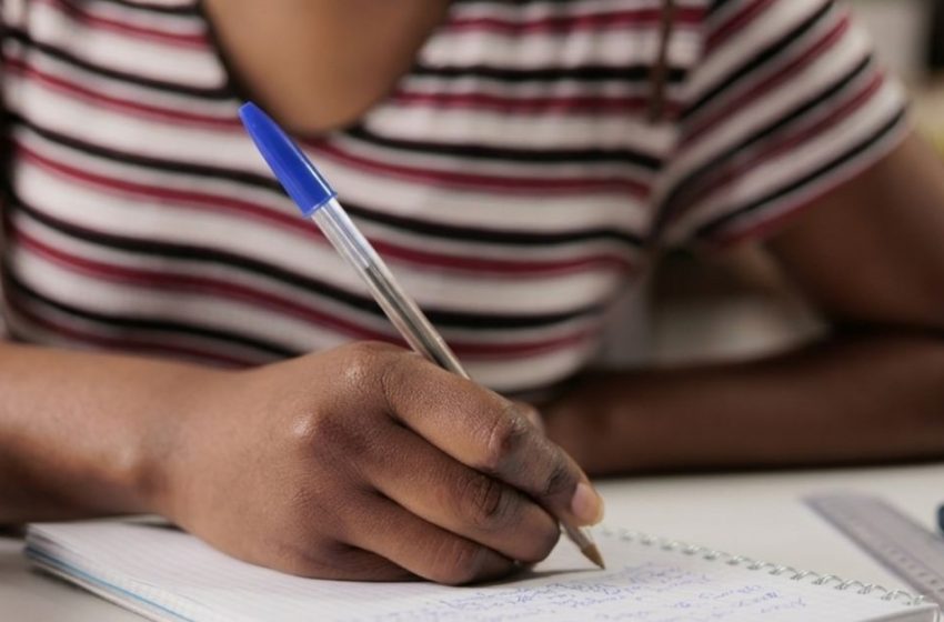  Educação básica e raça: Onde estamos e o que falta para alcançar a verdadeira equidade?